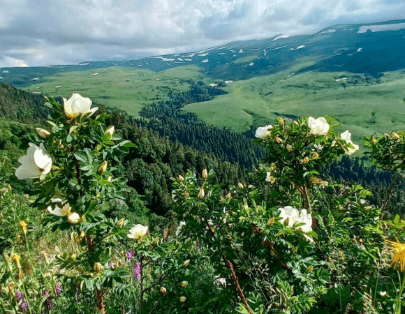 Плато Лаго-Наки и Азишская пещера