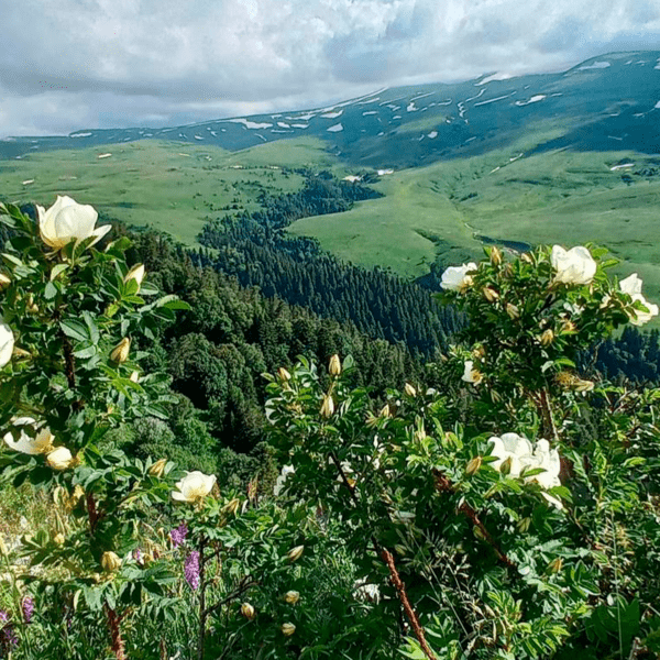 Плато Лаго-Наки и Азишская пещера