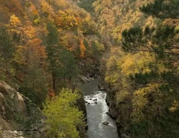 Заповедник Гузерипль